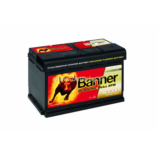 Running Bull EFB 565 12.jpg